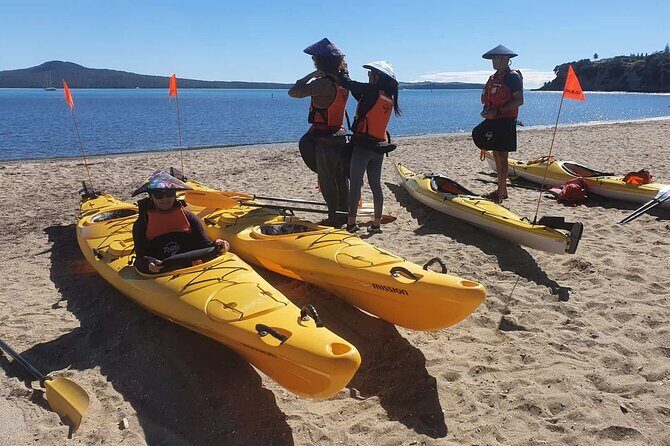 Browns Island Motukorea Sea Kayak Tour - What to bring and how to set yourself up for an easier paddle
