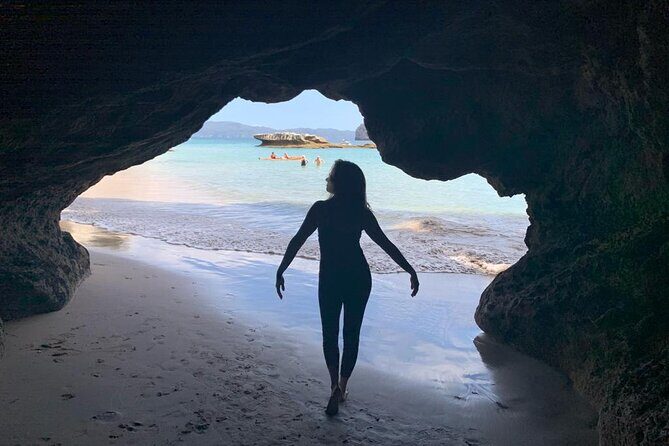 Cathedral Cove and Hot Water Beach Scenic Day Tour from Auckland - Price and logistics: what $372.34 buys you, and what it does not
