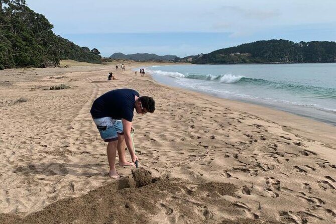 Cathedral Cove and Hot Water Beach Scenic Day Tour from Auckland - Best fit: who this tour suits (and who might feel the squeeze)