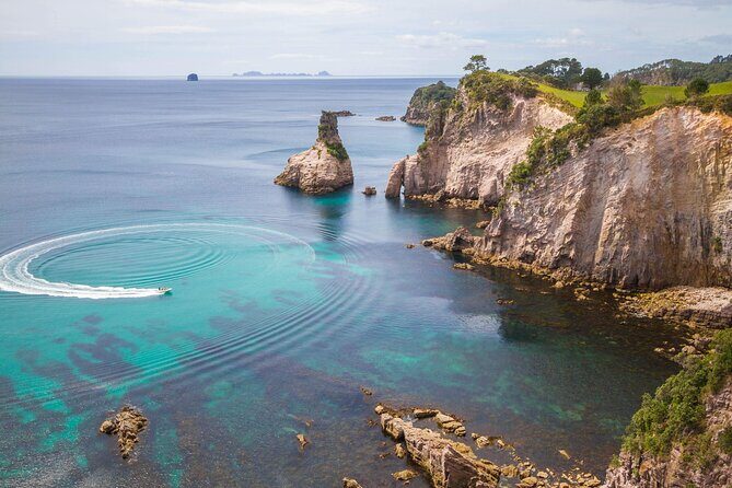 Cathedral Cove & Coromandel, Small-Group Tour from Auckland - Entering the Coromandel: white sand, native forest stops, and photo time