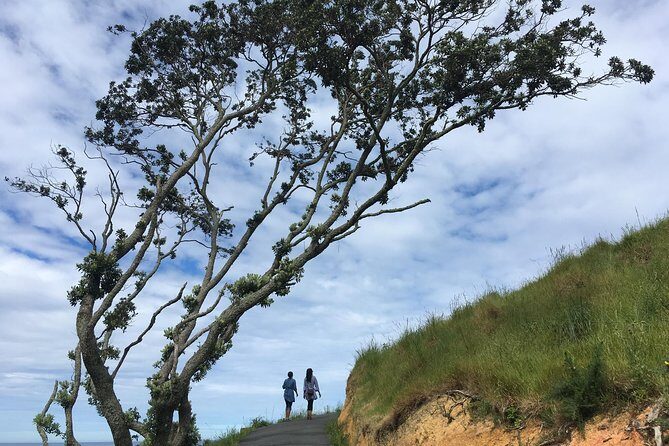 Cathedral Cove Day Trip from Auckland - Key Things That Make This Day Trip Work