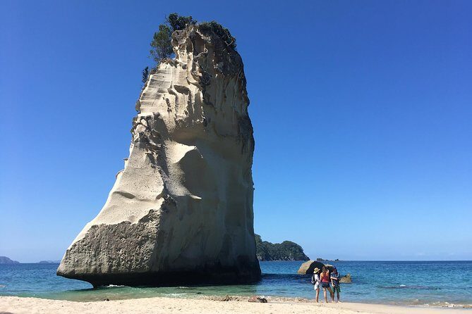 Cathedral Cove Day Trip from Auckland - Why Cathedral Cove and Hot Water Beach Fit One Full-Day Trip