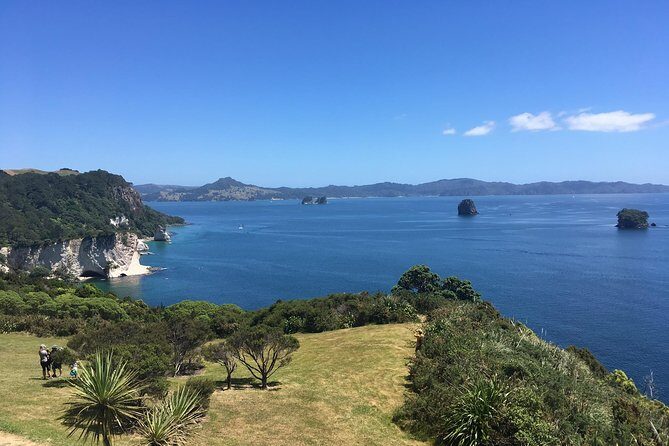 Cathedral Cove Day Trip from Auckland - Hot Water Beach: Feet in Natural Spring Water