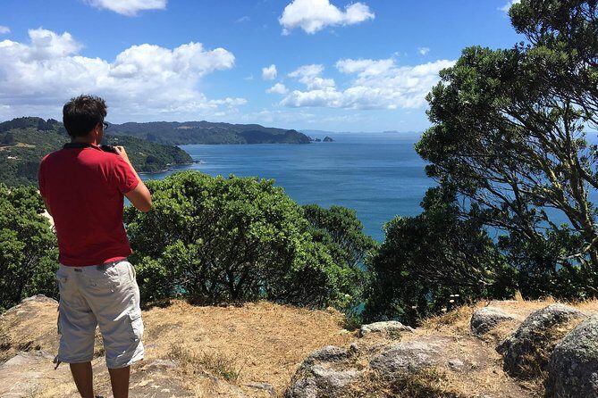 Cathedral Cove Day Trip from Auckland - Mount Paku: A Short Push to Extinct Volcano Views