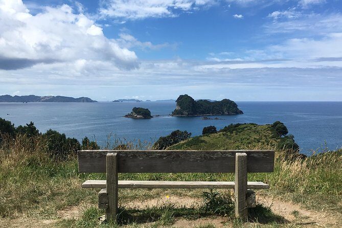 Cathedral Cove Day Trip from Auckland - Guides, Small Groups, and the Friendly Energy Factor