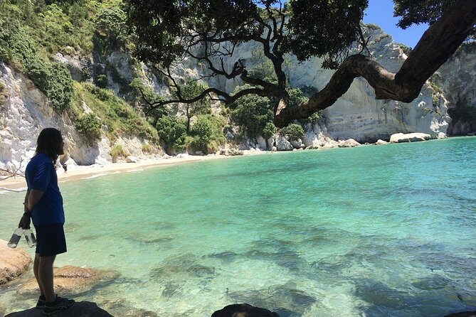Cathedral Cove Day Trip from Auckland - Meeting at 148 Quay Street and the Day’s Timing