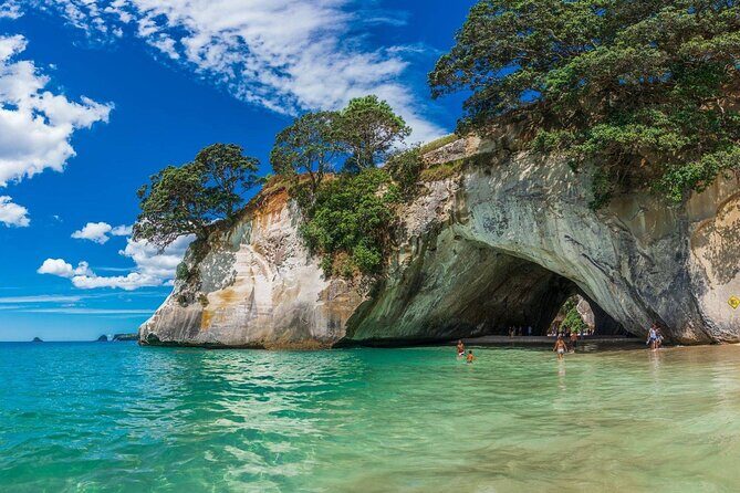 Cathedral Cove with the Lost Spring Hidden Spa - Private transportation and a real guide: why the setup feels smoother