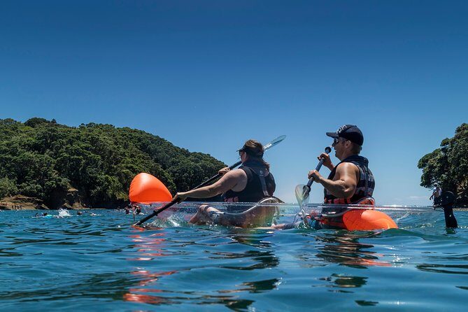 Clearyak hire at Goat Island Marine Reserve - What the first minutes feel like: getting set up in your Clearyak
