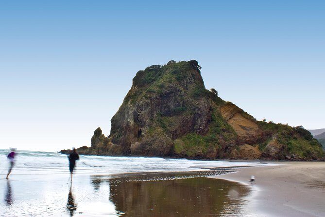 Coast and Rainforest Eco-Tour from Auckland with Picnic Lunch - What makes the guides matter here