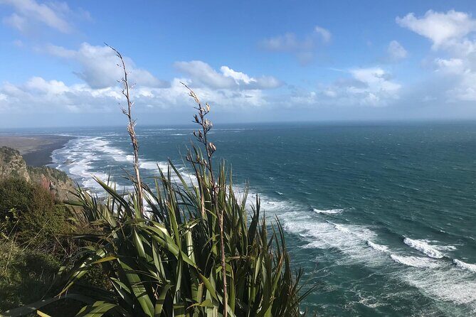 Coast and Rainforest Eco-Tour from Auckland with Picnic Lunch - Eco-tour angle: what you’re really paying for