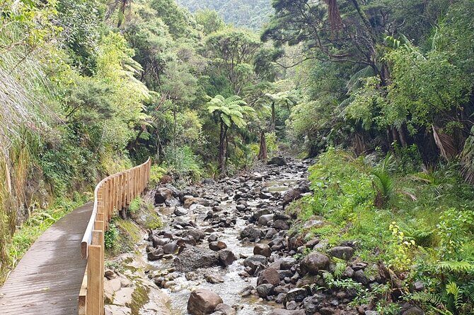 Coast and Rainforest Eco-Tour from Auckland with Picnic Lunch - Arataki Visitor Centre: your first big ocean view