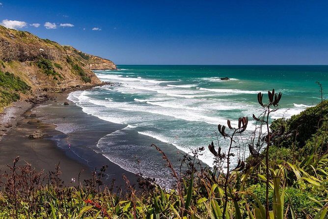 Coast to Coast Private Eco Tour - Muriwai Beach: Black Sand Coast and Gannets Up Close