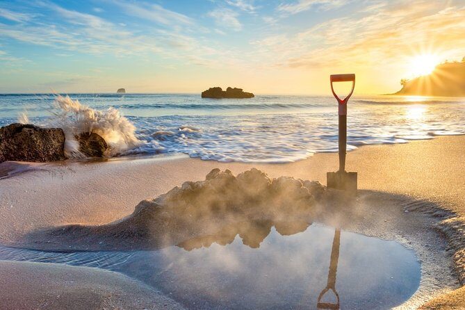 Coromandel Coastal Experience - Small Group Tour from Auckland - Key things I’d zero in on
