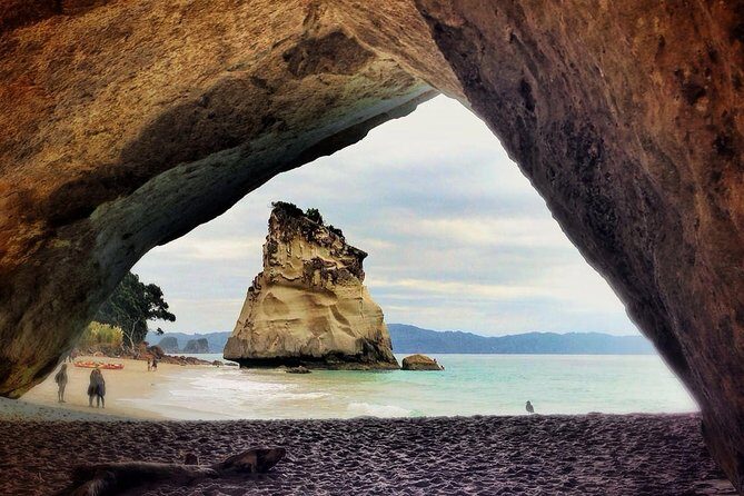 Coromandel Coastal Experience - Small Group Tour from Auckland - Comfort, small group size, and the windy-road note