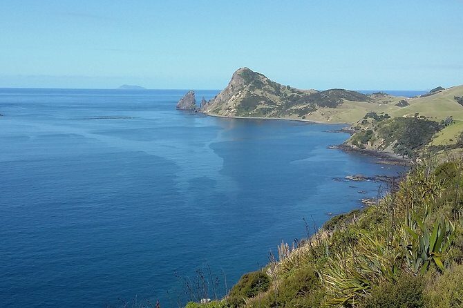 Coromandel Coastal Experience - Small Group Tour from Auckland - What to pack so the day feels smooth