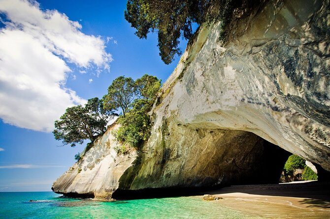 Coromandel Coastal Experience - Small Group Tour from Auckland - Road trip rhythm: the Bombay Hills to Thames stop