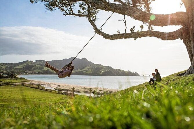 Coromandel Day Tour From Auckland - Driving Creek Railway to Eyefull Tower: the train ride you’ll talk about