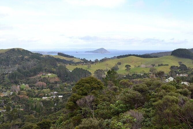 Coromandel Day Tour From Auckland - Hot Water Beach thermal pools: your best day, if you pack for it