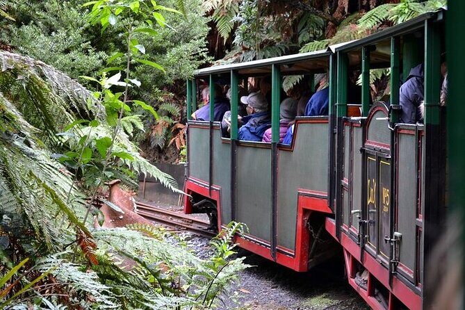 Coromandel Day Tour From Auckland - The guide makes it stick: stories, history, and a little humor