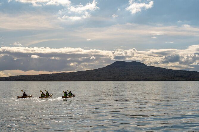 Day sea kayak tour Rangitoto Island - Kiwi BBQ on the Shore: Why the Lunch Feels Like Part of the Tour