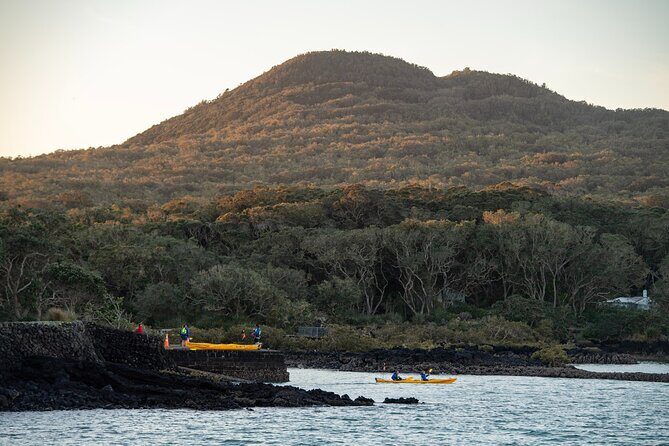 Day sea kayak tour Rangitoto Island - Price and Value: What You Get for About $152