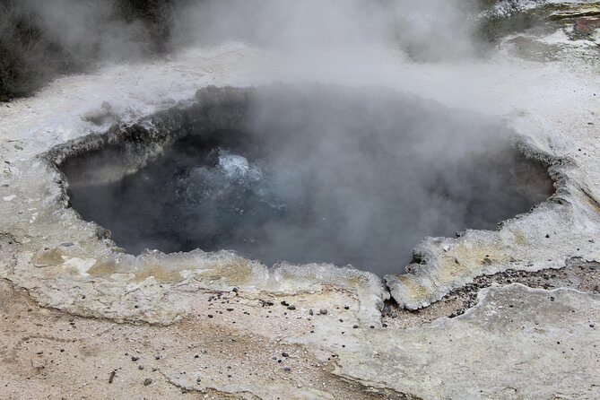 Day Tour Hobbiton + Rotorua from Auckland in Luxury Minibus - Te Puia: lunch plus Māori culture and the geothermal atmosphere