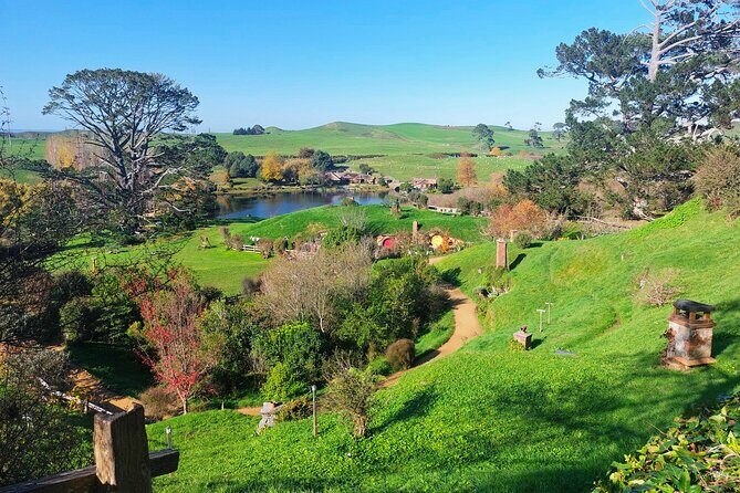 Day Tour Hobbiton + Rotorua from Auckland in Luxury Minibus - Guide quality and the difference good driving makes
