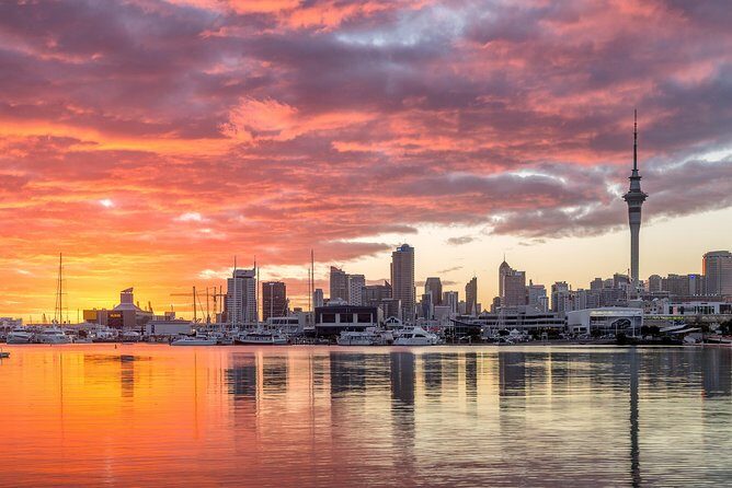 Discover Auckland City Tour: The City of Sails - What Makes the Guides Matter (And Why It Shows)
