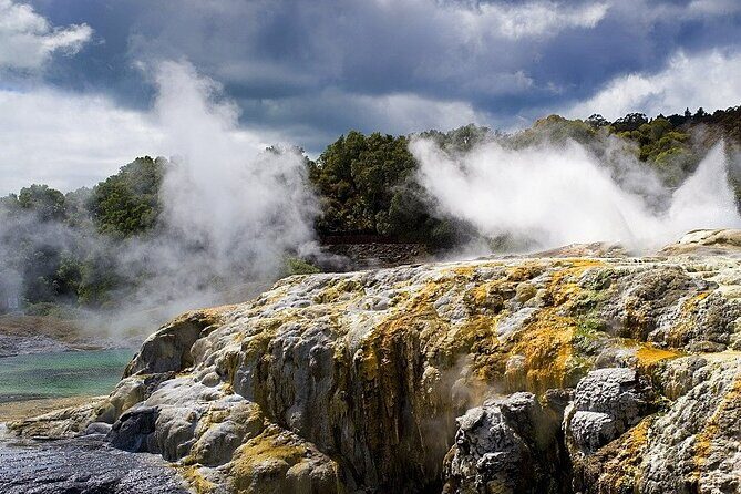 Ex Auckland: Rotorua Māori Village with Haka and Hot Springs - Auckland Pickup to Rotorua: Comfort on a Long Road