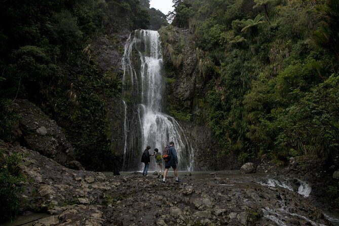 Explore BLACK SAND PIHA BEACH, and Water Falls in West Auckland - Getting there from Auckland CBD: small group comfort and a tight schedule