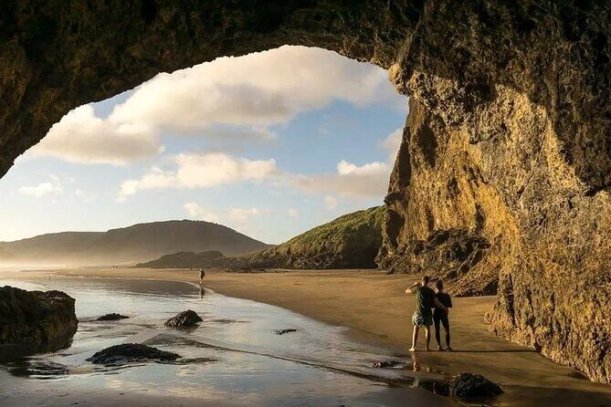 Explore West Auckland with Winery - Key highlights you’ll actually feel in 6 hours