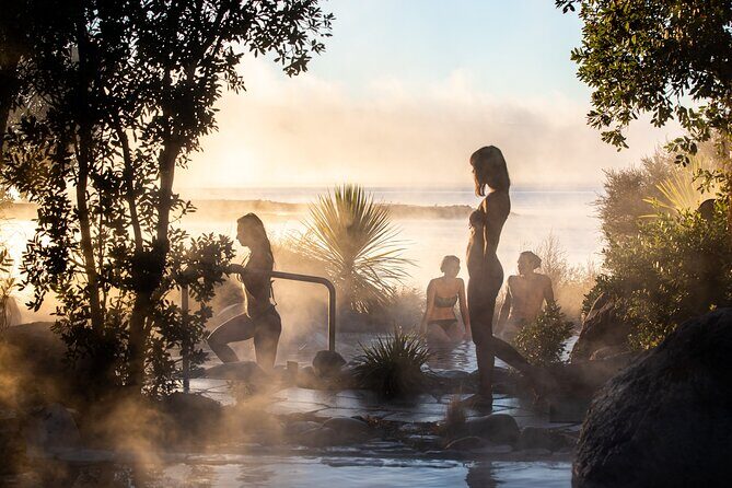 From Auckand: Waiotapu and Polynesian Spa Rotorua Day Tour - Quick take: the best parts of this Auckland to Rotorua day trip