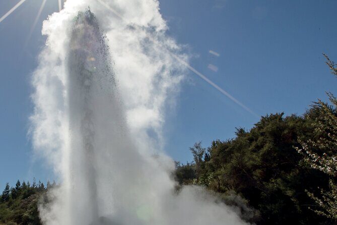 From Auckand: Waiotapu and Polynesian Spa Rotorua Day Tour - Should you book this Wai-O-Tapu and Polynesian Spa day tour?