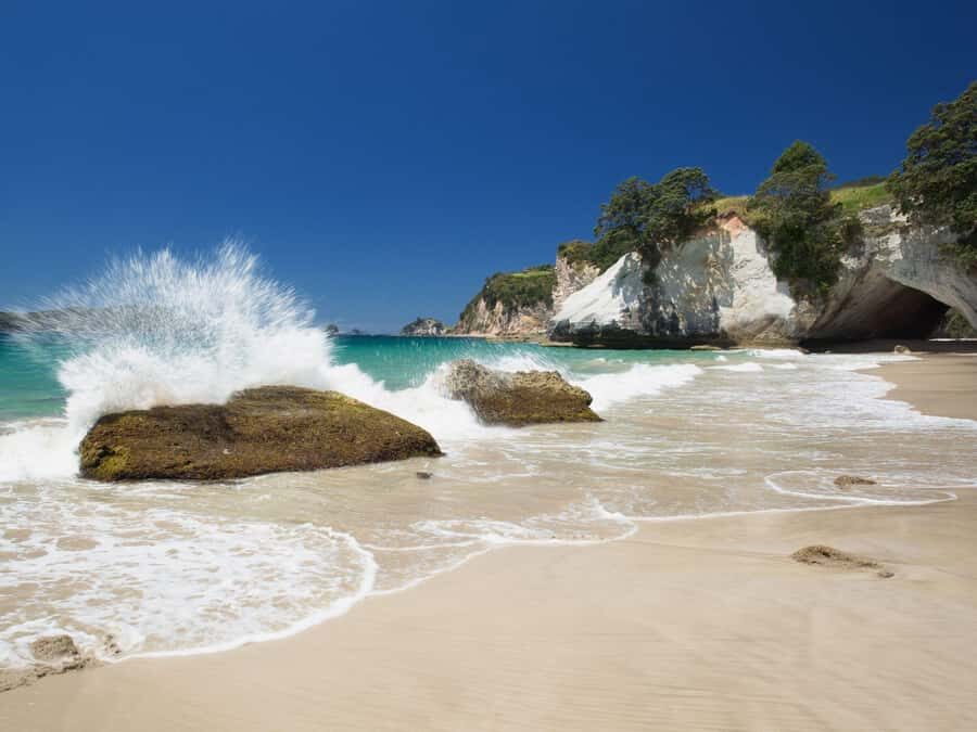 From Auckland: Cathedral Cove & Hot Water Beach Tour - From Auckland pickup to Coromandel roads: getting your bearings