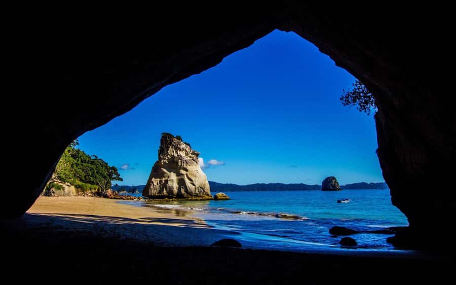 From Auckland: Cathedral Cove & Hot Water Beach Tour - Hahei break and the lunch reality check