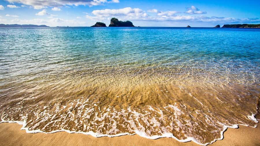 From Auckland: Cathedral Cove & Hot Water Beach Tour - The real walking and fitness check for uneven coastal terrain