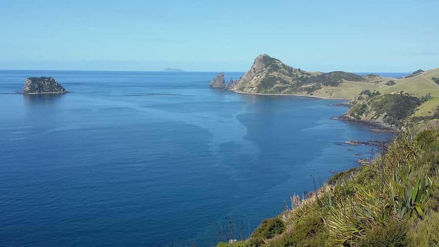 From Auckland: Cathedral Cove & Hot Water Beach Tour - How the small-group guide experience changes the day