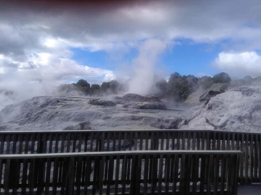 From Auckland: Day Trip to Rotorua with Optional extras - From Auckland pickup that avoids the hotel-hopping headache