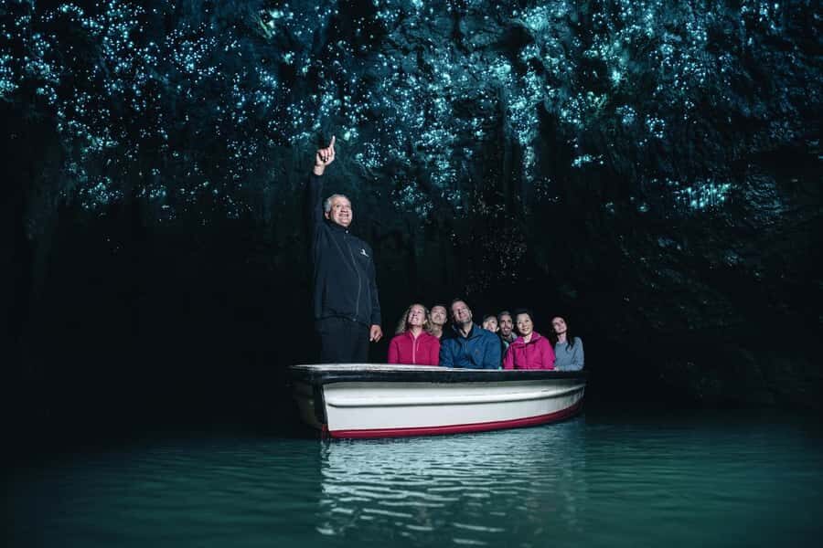 From Auckland: Day Trip to Waitomo Glow Worm Caves - Waitomo Glowworm Caves Day Trip: What You’re Actually Buying