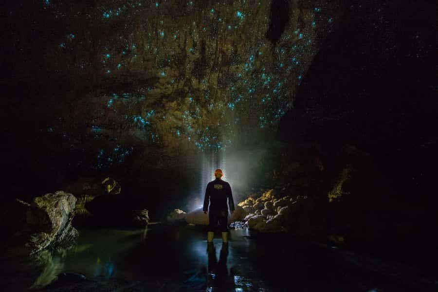 From Auckland: Day Trip to Waitomo Glow Worm Caves - Price and Value: Is $166 per Person Fair?