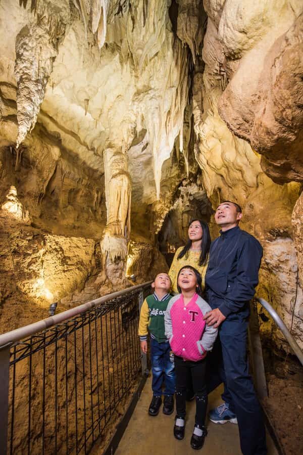 From Auckland: Day Trip to Waitomo Glow Worm Caves - Who This Tour Fits Best (and who should reconsider)