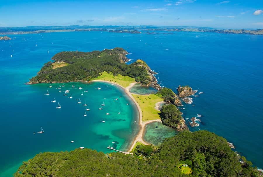 From Auckland: Full-Day Tour to the Bay of Islands - Quick Take: what makes this Bay of Islands day trip work