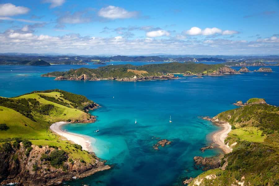 From Auckland: Full-Day Tour to the Bay of Islands - From Auckland to Paihia: the long drive that sets the mood