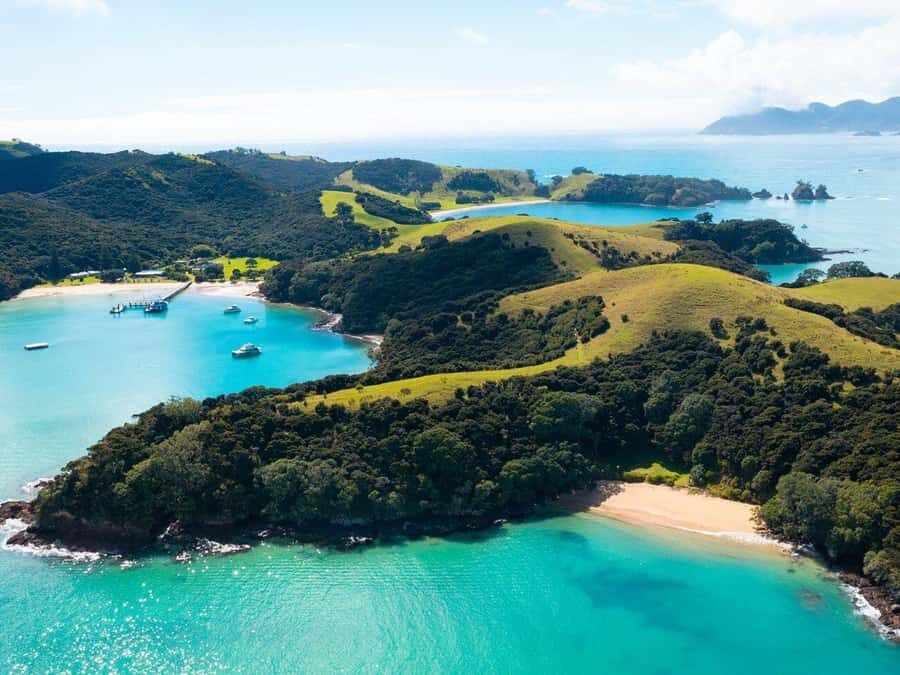 From Auckland: Full-Day Tour to the Bay of Islands - Lunch on the fly: how the short stop shapes your day