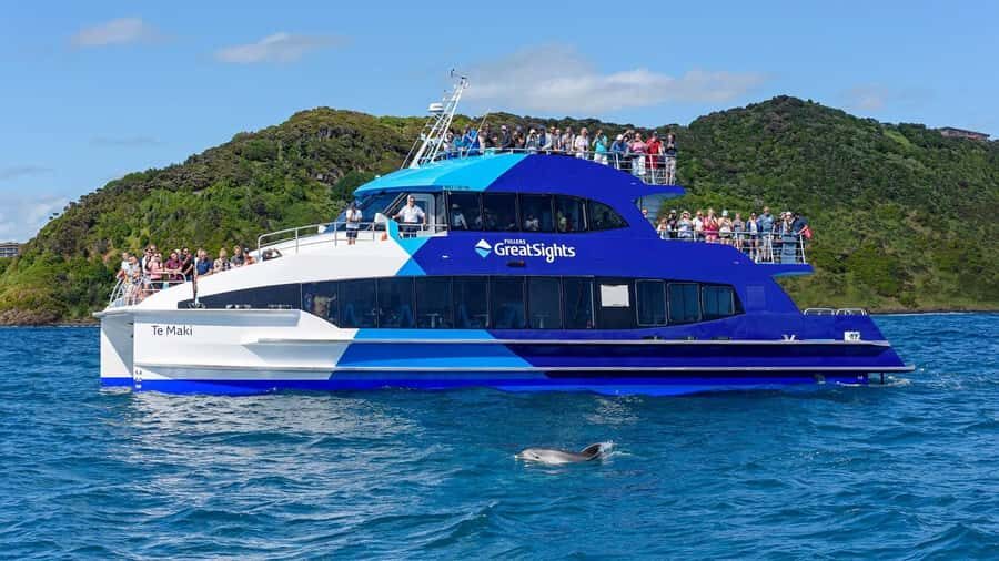 From Auckland: Full-Day Tour to the Bay of Islands - Guides and group comfort: the difference between a good day and a great one