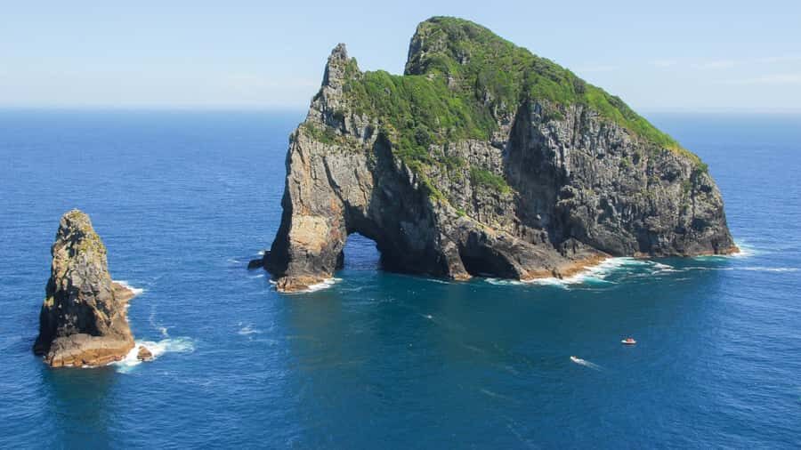 From Auckland: Full-Day Tour to the Bay of Islands - Should you book From Auckland: Full-Day Tour to the Bay of Islands?