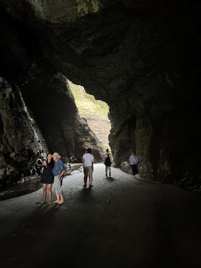 From Auckland: Guided Tour of Piha with Scenic Beach Walks - Key highlights worth caring about