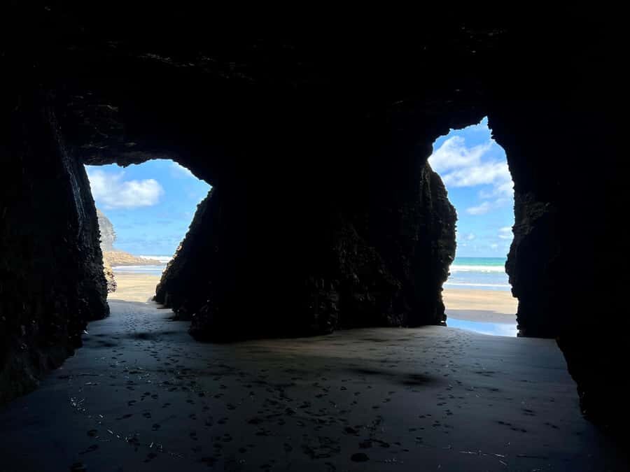 From Auckland: Guided Tour of Piha with Scenic Beach Walks - Value check: what you’re really paying for in 6.5 hours