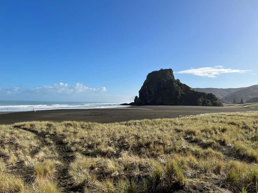 From Auckland: Guided Tour of Piha with Scenic Beach Walks - Why Piha’s black sand and cave walks feel so different