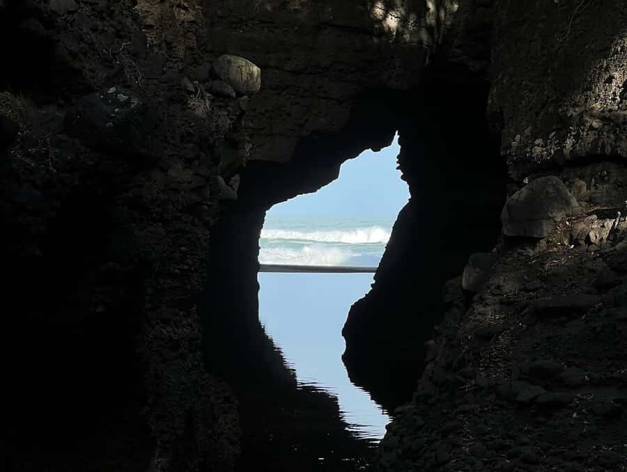 From Auckland: Guided Tour of Piha with Scenic Beach Walks - Waitakere Ranges viewpoints: the drive turns into part of the experience